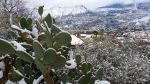 La neve a Monreale